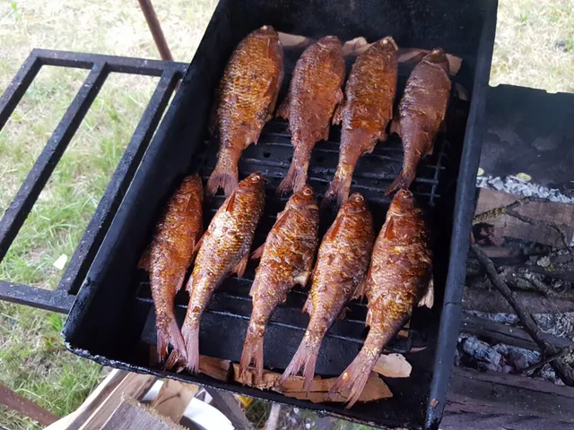 Мангал и копчение рыбы